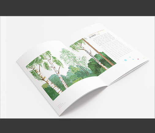 宣傳冊設(shè)計